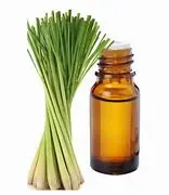 Lemongrass (Essential Oil)