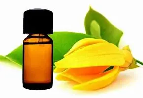 Ylang (Essential Oil)