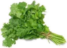 Coriander (Whole)